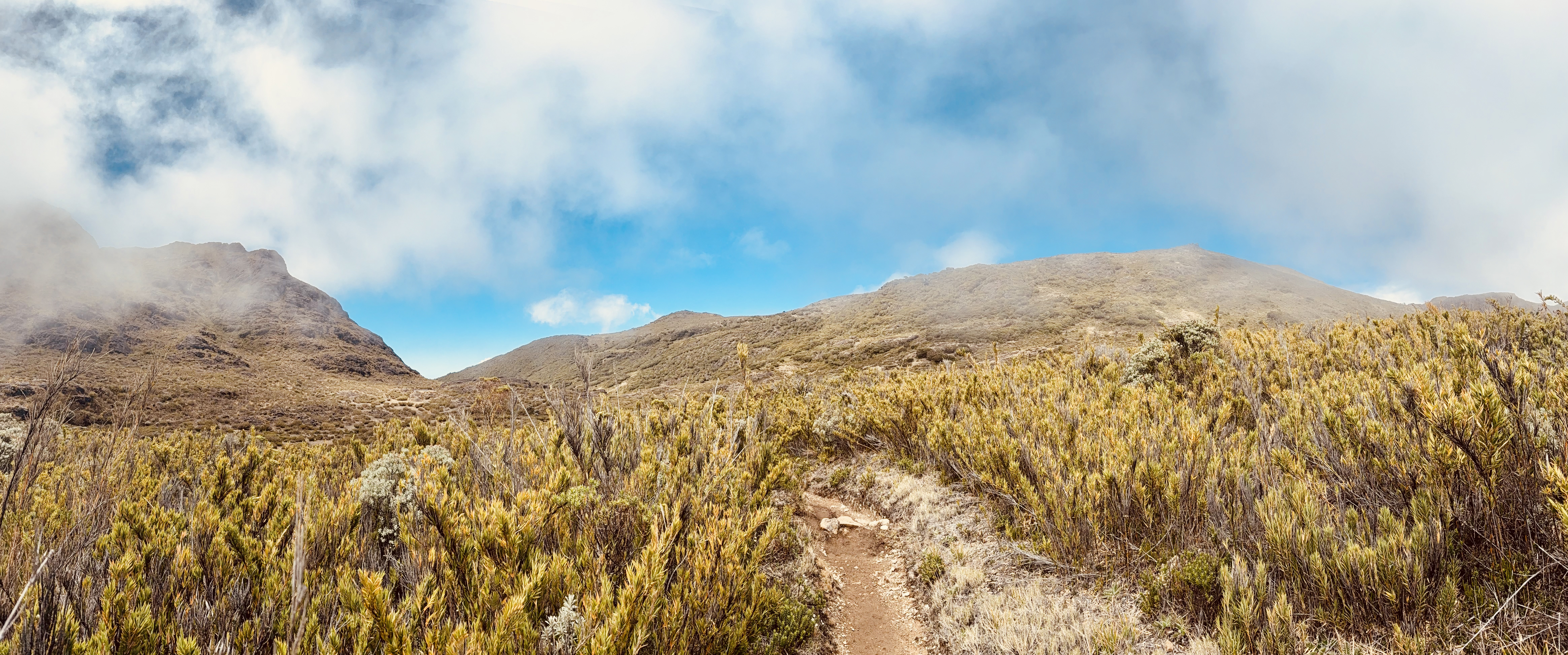 Sendero de montaña en Costa Rica