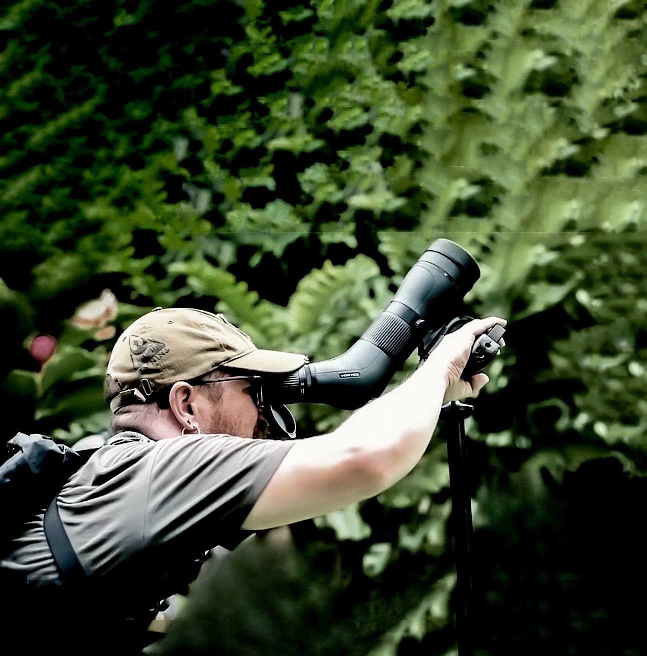 Pajarero observando aves con telescopio